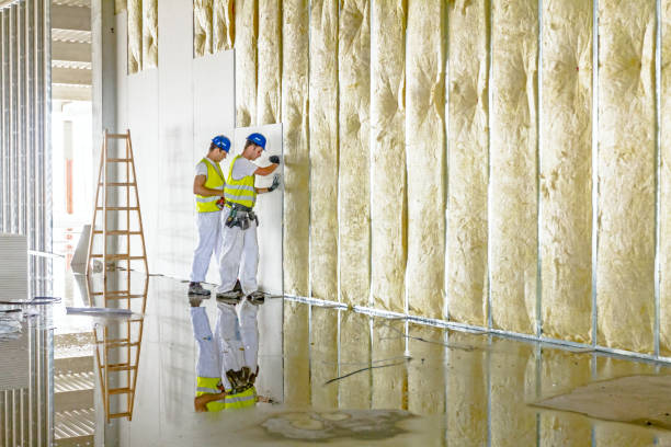 Types of Insulation We Offer in Stafford, OR